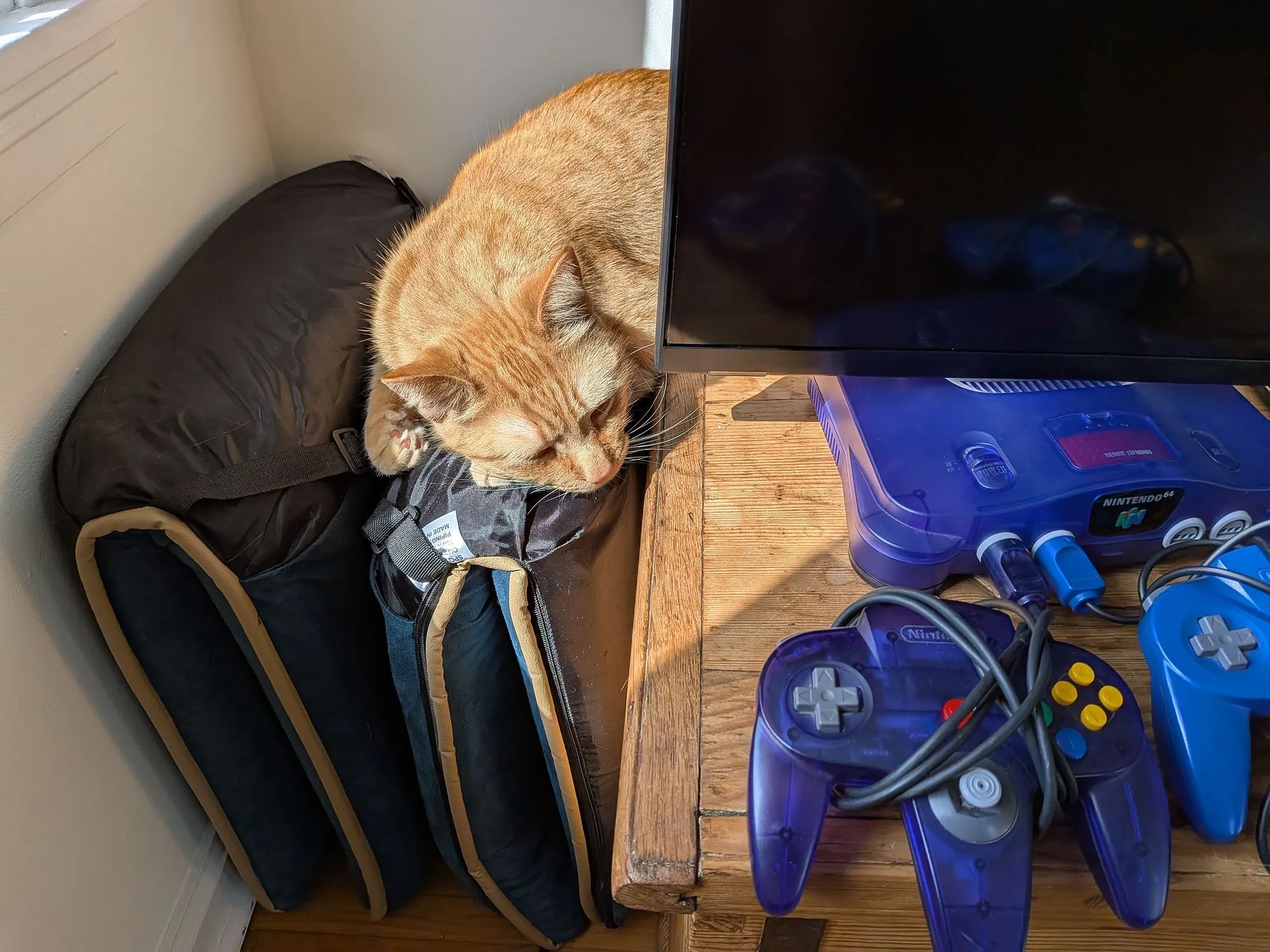 Một chú mèo vàng đang rình rập chiếc máy chơi game Nintendo 64, minh họa màu sắc rực rỡ của ảnh chụp với gam màu Display P3 trên Pixel 9a.