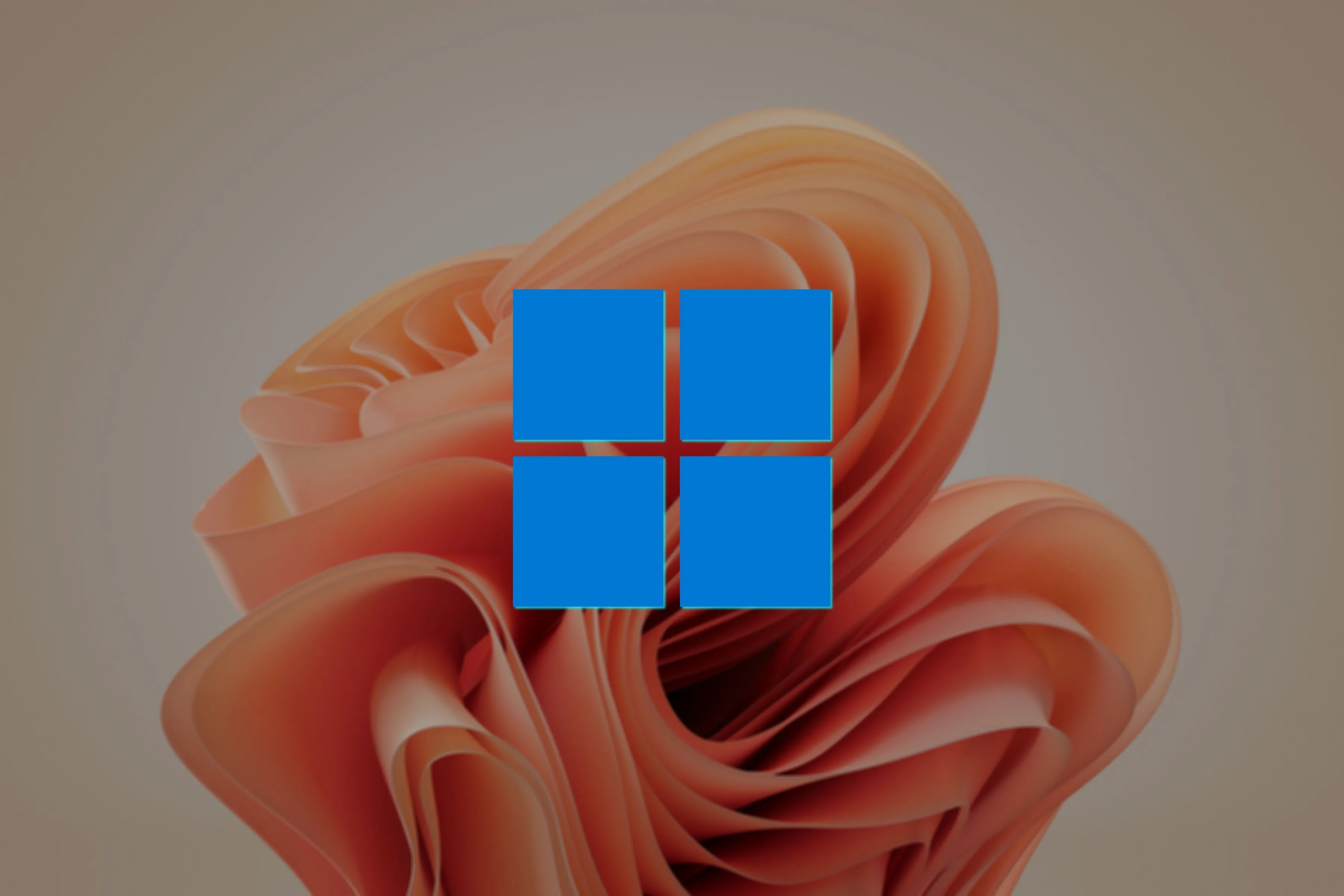 Logo Windows 11 trên nền hình nền Bloom màu vàng cát