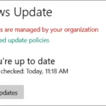 Lỗi "Some settings are managed by your organization" trên Windows