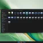 Screenshot của File Pilot hiển thị thư mục với nhiều ảnh