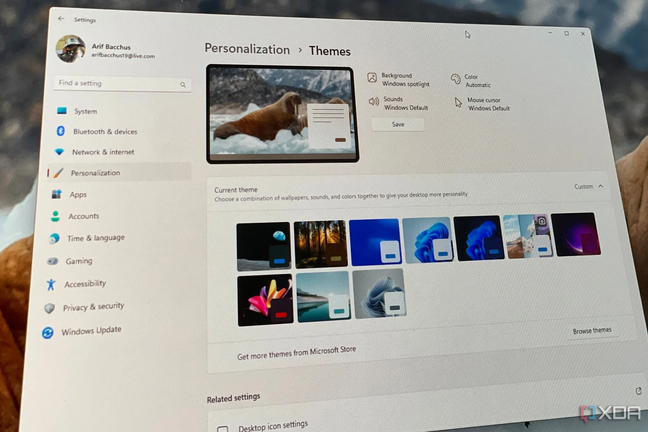 Các tùy chọn theme trong giao diện cài đặt Windows 11