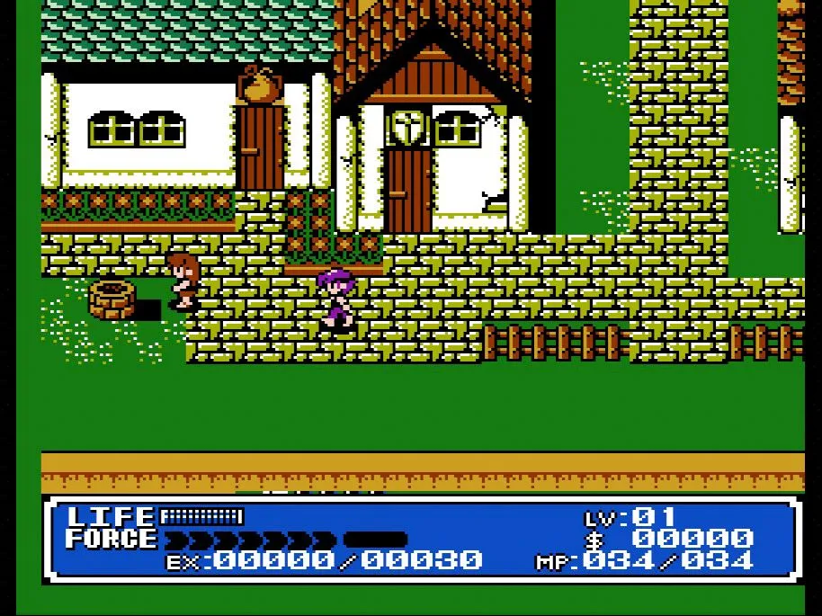 Cảnh chiến đấu trong game nhập vai hành động Crystalis trên NES với nhân vật chính và kẻ thù