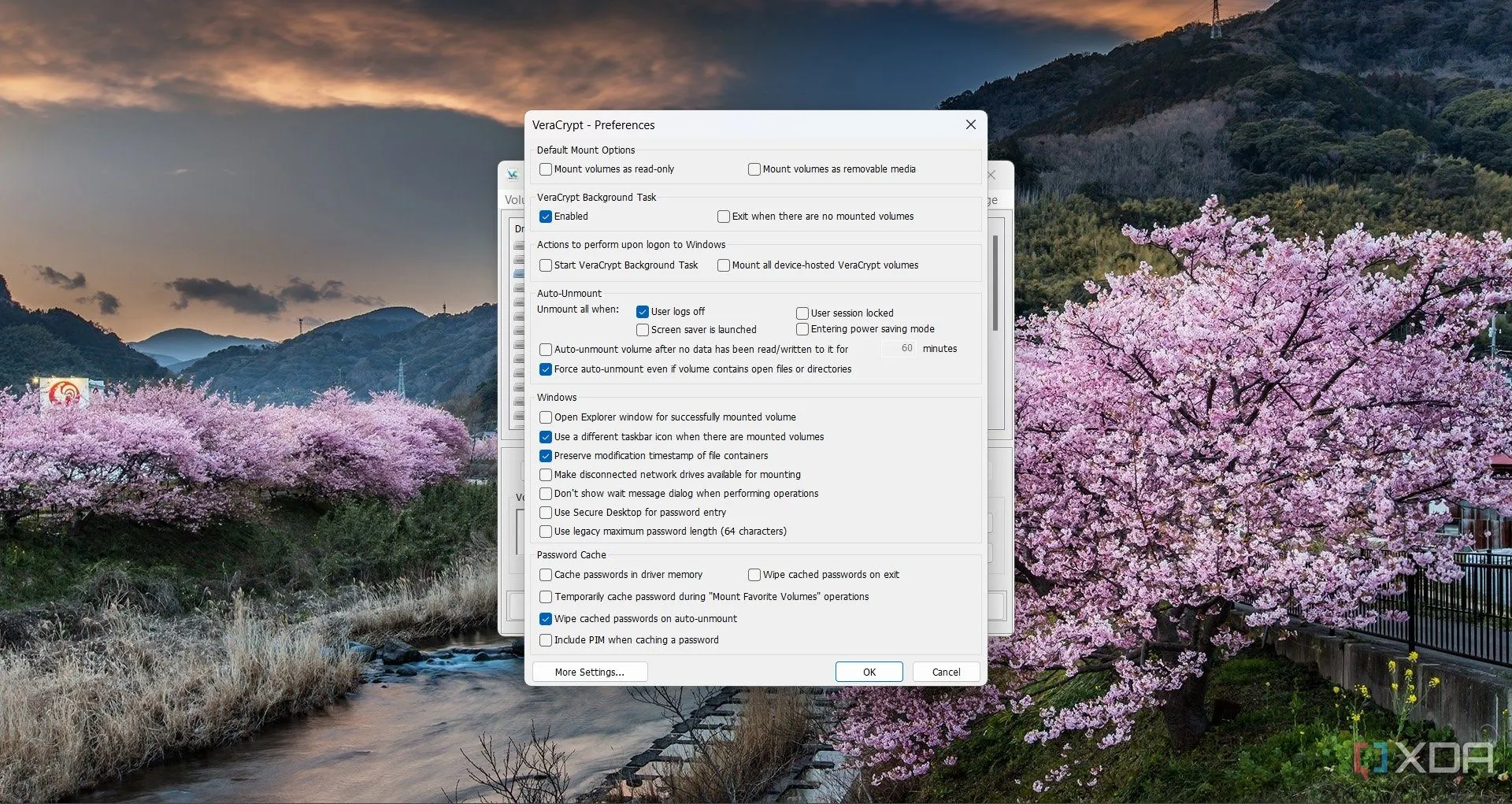 Cửa sổ tùy chỉnh cài đặt trong VeraCrypt