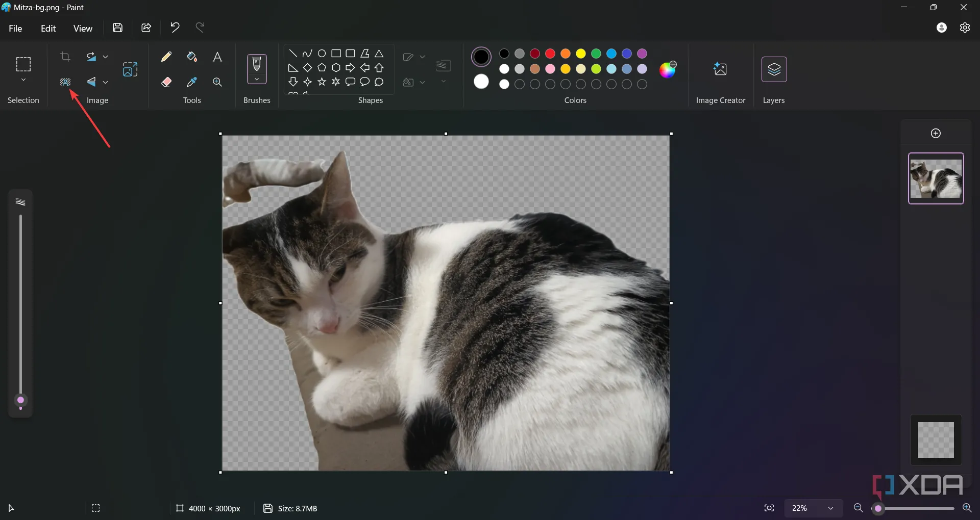 Giao diện Microsoft Paint với nút &quot;Xóa nền&quot; đang được nhấp