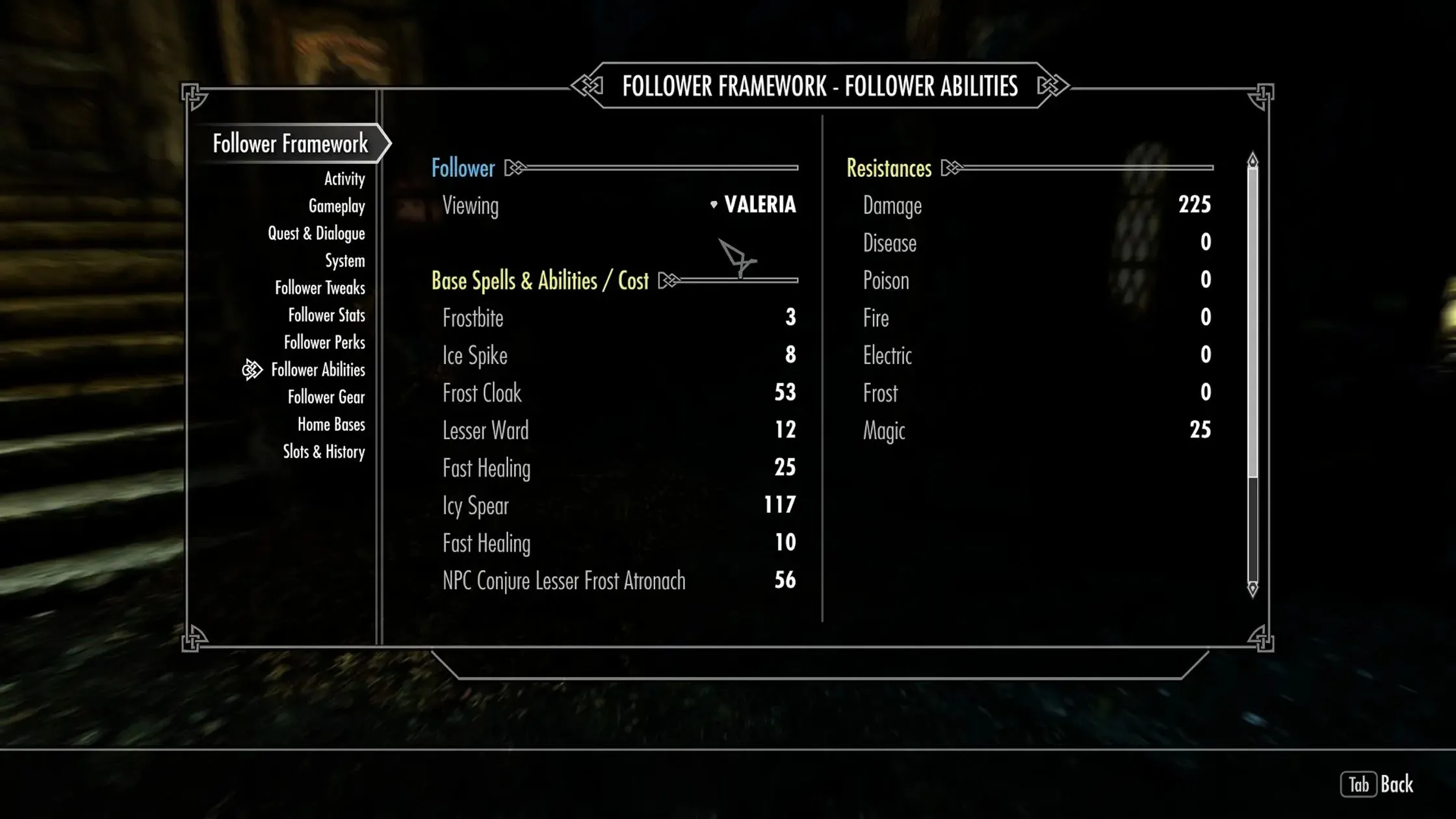Hình ảnh người chơi cùng nhiều người đồng hành được quản lý bởi mod Nether's Follower Framework trong Skyrim