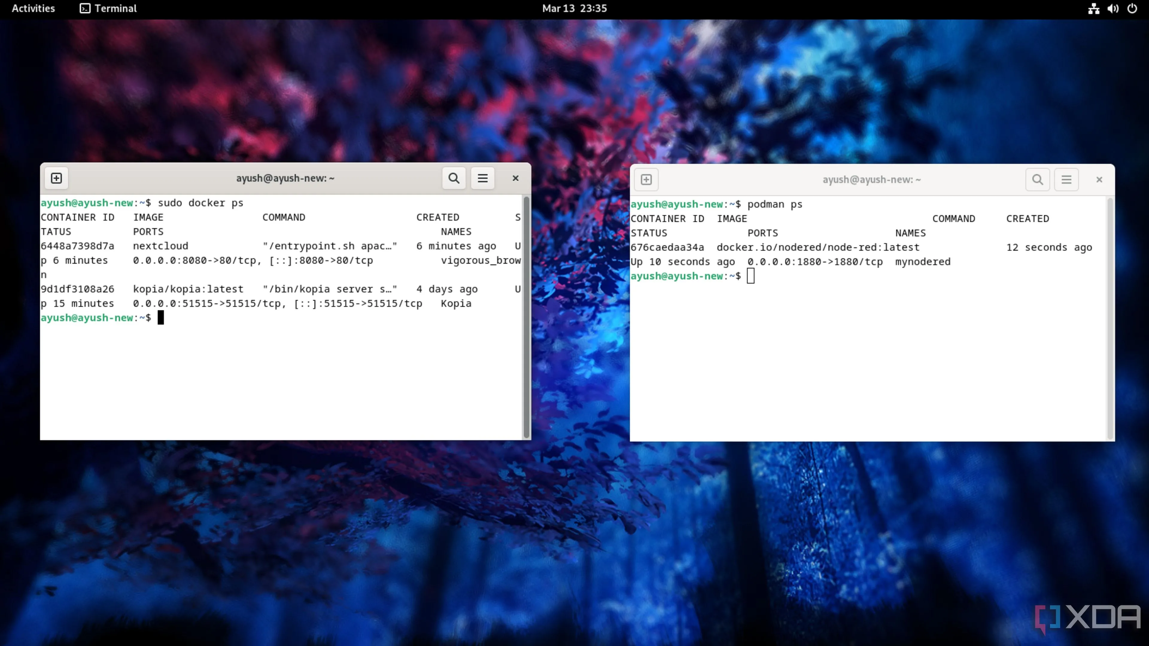 Hình ảnh so sánh Docker và Podman trong môi trường quản lý container