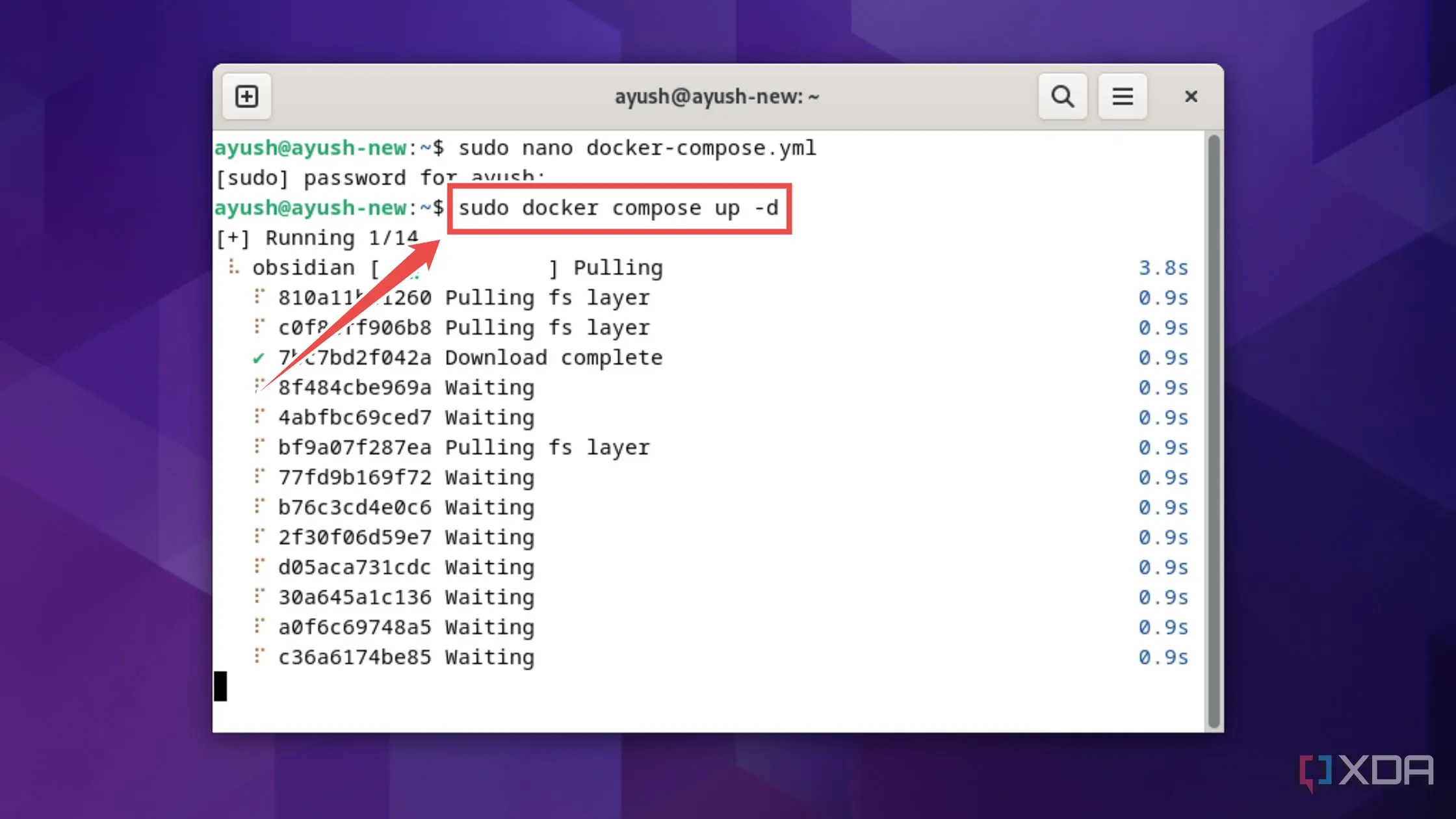 Khởi chạy container Obsidian bằng tệp docker-compose.yml