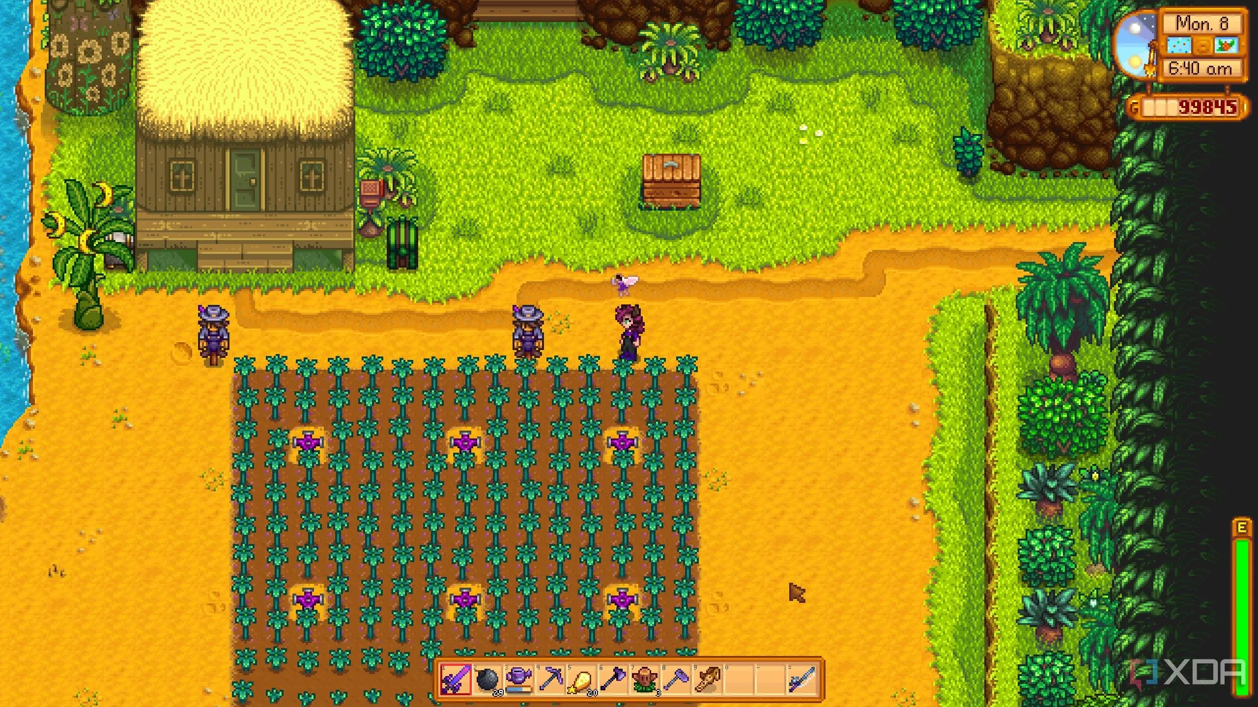 Khu nông trại trên Đảo Gừng trong Stardew Valley, minh họa nội dung mở rộng sau ra mắt