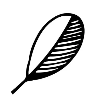 Logo Indify - Công cụ cung cấp widget đa dạng cho Notion