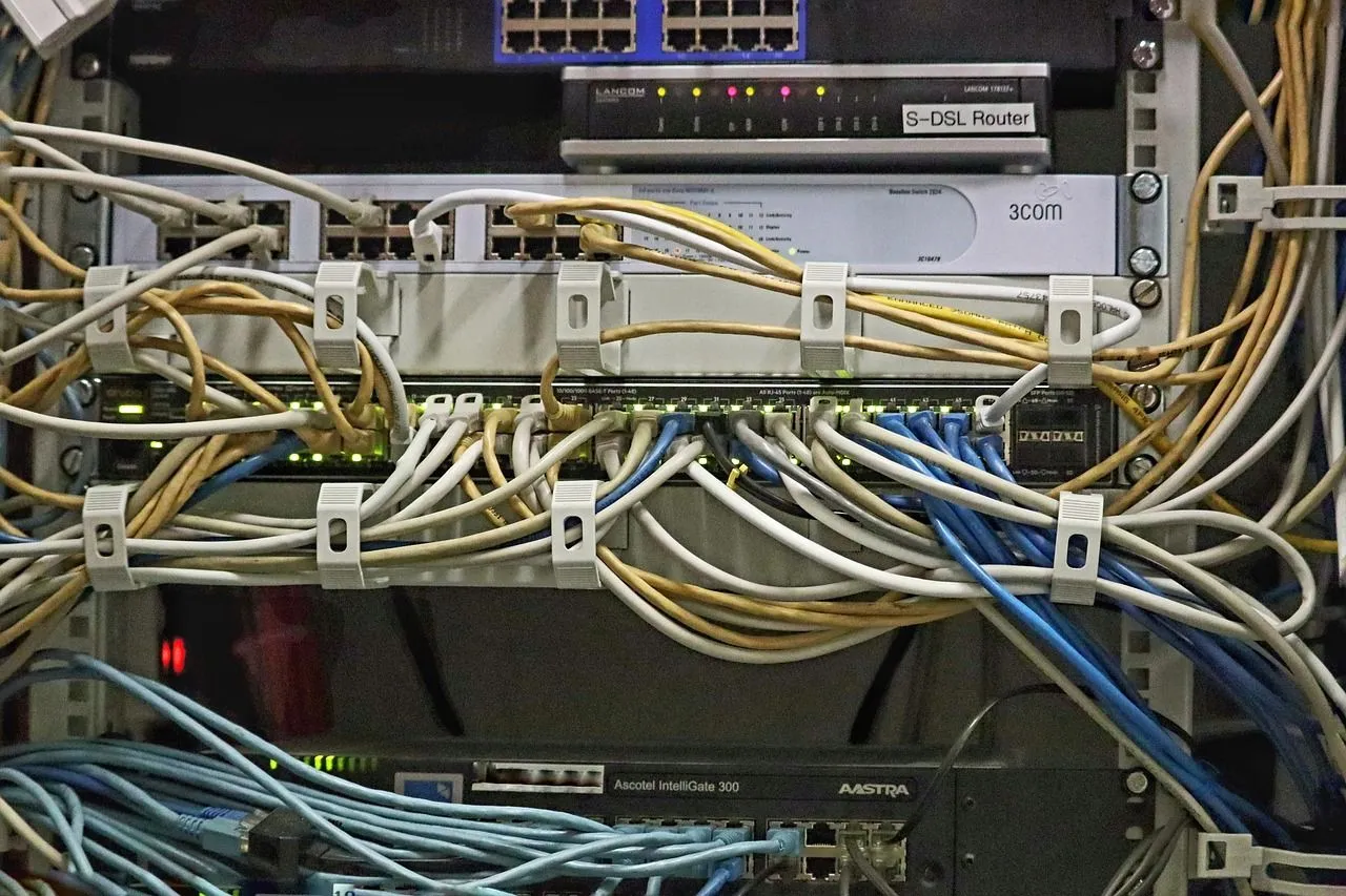 Máy chủ và bộ chuyển mạch mạng với cáp Ethernet, minh họa môi trường cần IPS/IDS