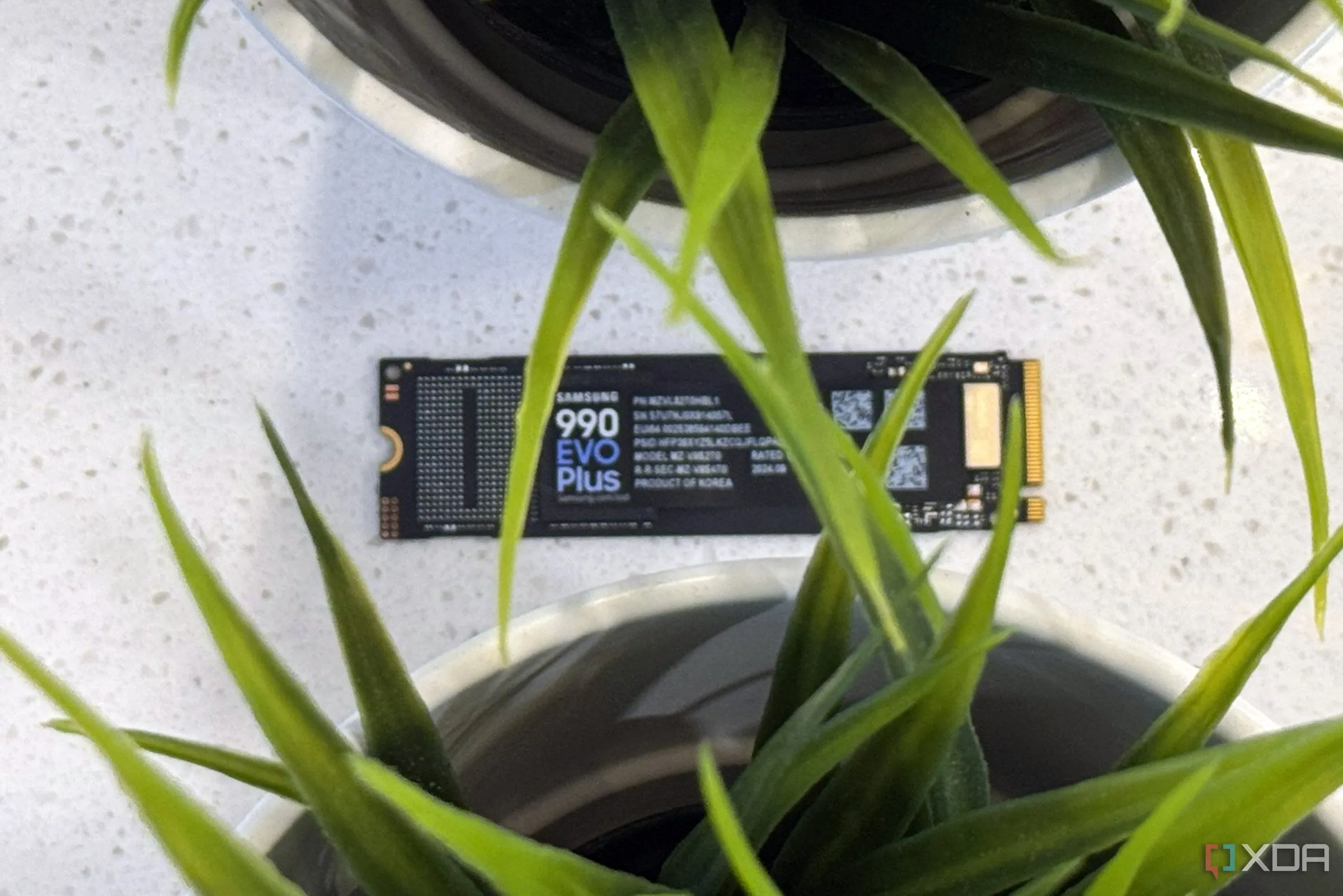 Ổ cứng SSD Samsung 990 EVO Plus đặt cạnh hai chậu cây cảnh, tượng trưng cho tuổi thọ và sự bền bỉ của thiết bị