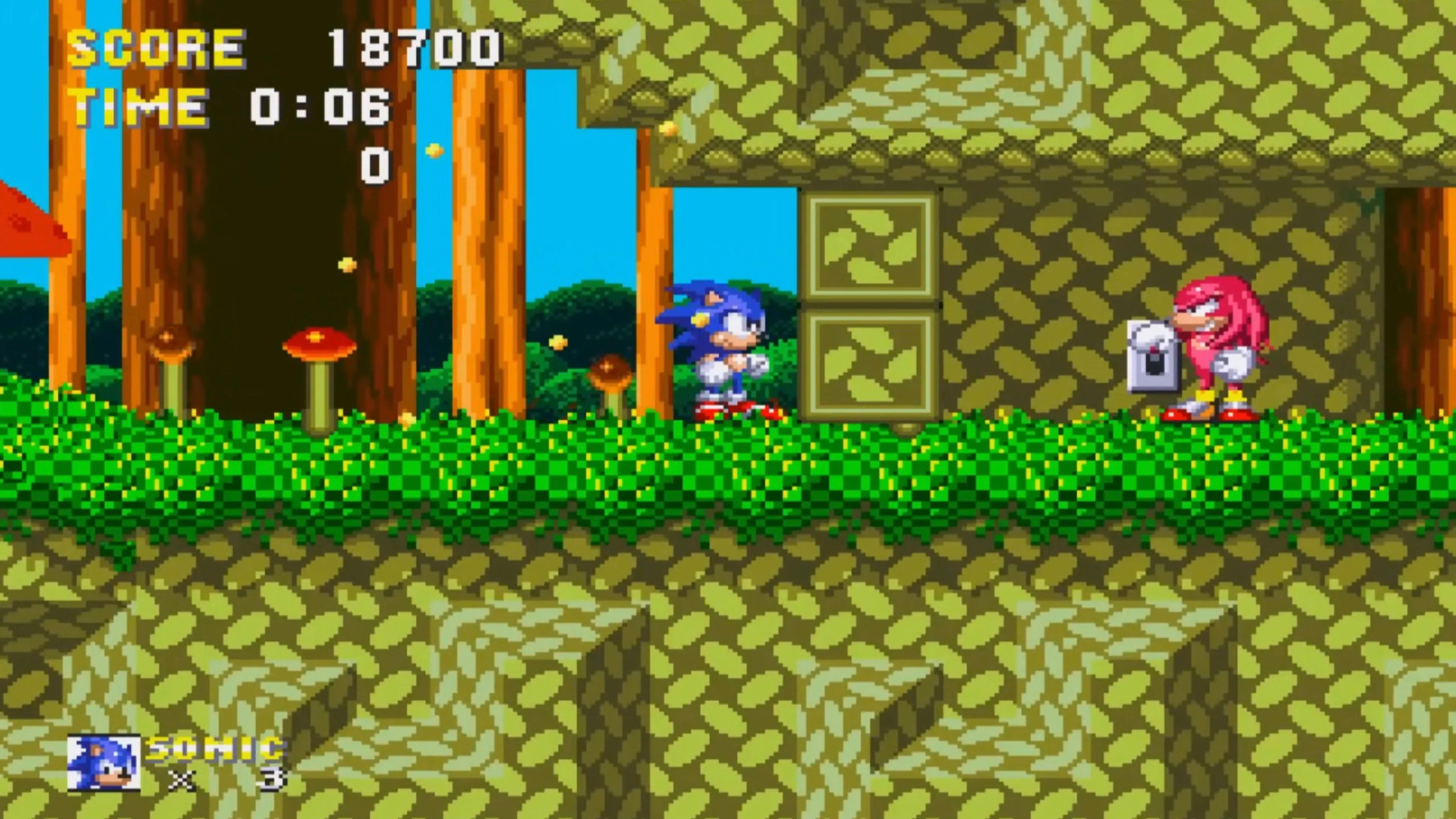 Sonic và Knuckles cùng chạy qua một cảnh trong game platformer kinh điển Sonic &amp; Knuckles, thể hiện sự kết hợp gameplay độc đáo của Sega Genesis.