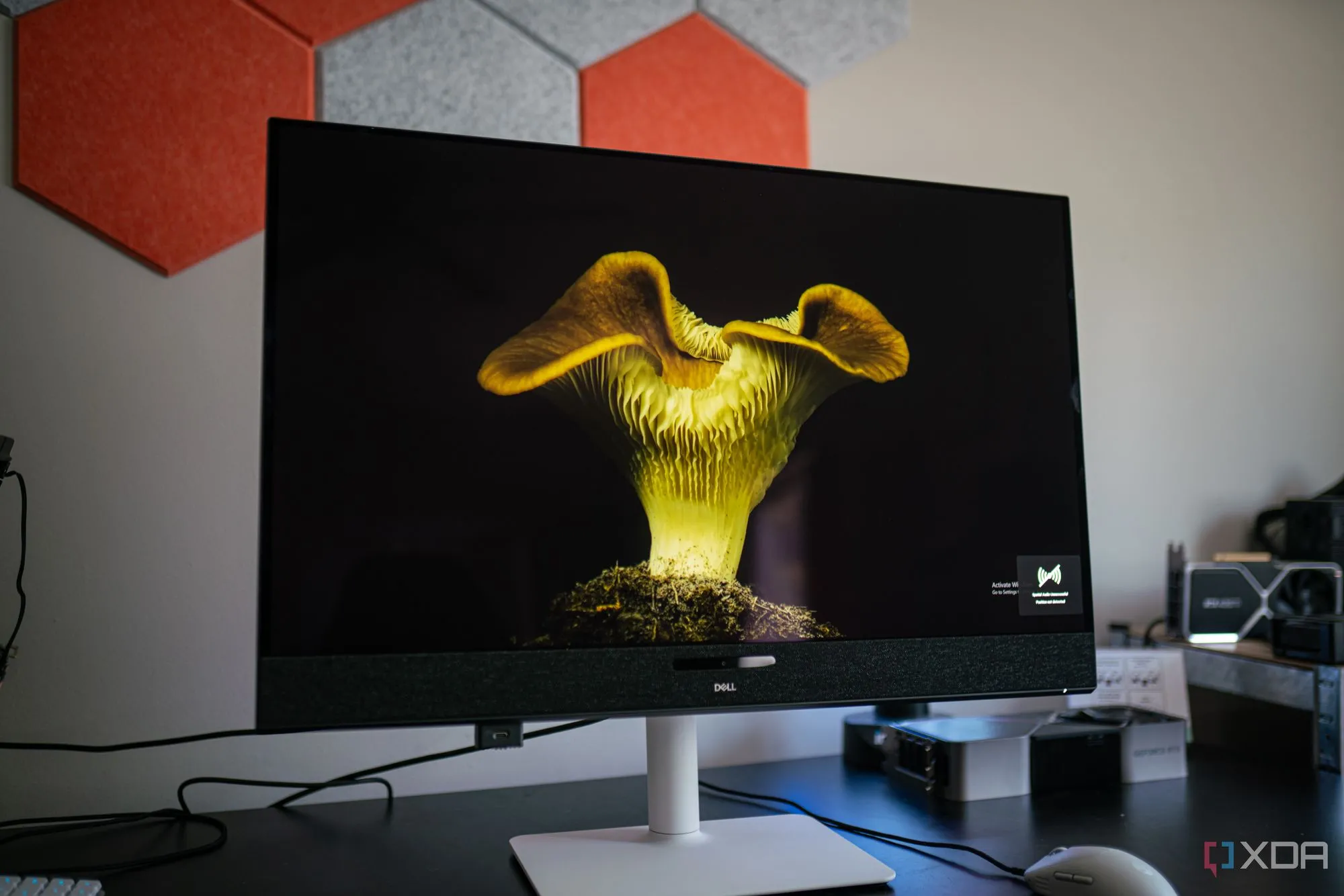 Tấm nền QD-OLED của Dell 32 Plus 4K QD-OLED hiển thị màu sắc sống động, minh họa chất lượng hình ảnh xuất sắc